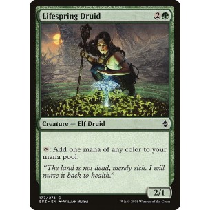 Druida della Sorgente Vitale