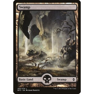Swamp