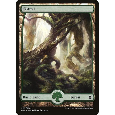 Forest