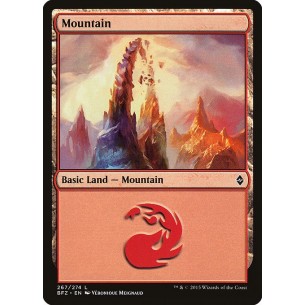 Mountain