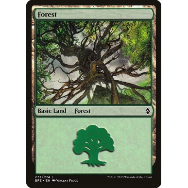 Forest