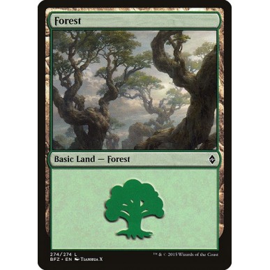 Forest