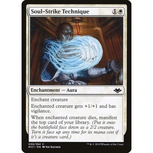 Tecnica del Colpo Spirituale