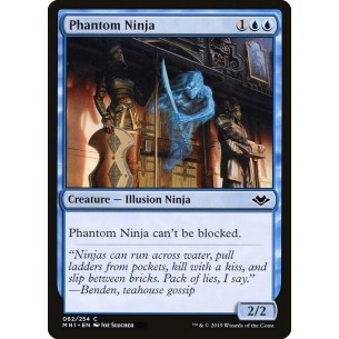 Ninja Fantasma
