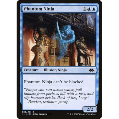 Ninja Fantasma