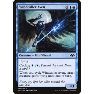 Aviana Convocaventi