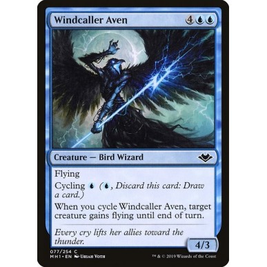 Aviana Convocaventi