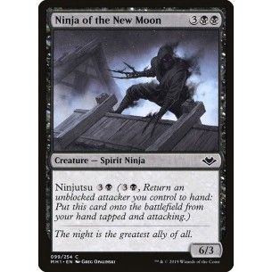 Ninja del Novilunio