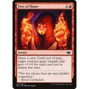 Pugni di Fiamme