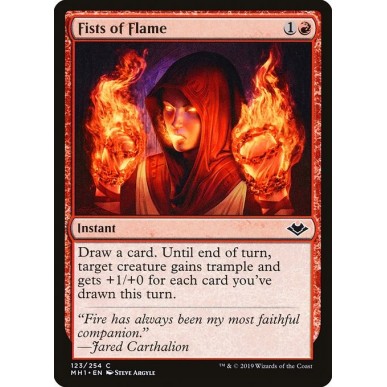 Fists of Flame