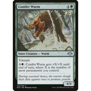 Wurm delle Conifere