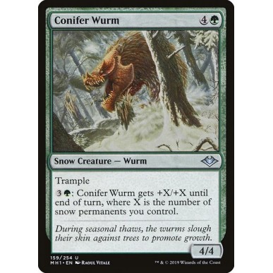 Wurm delle Conifere