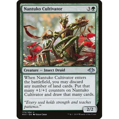 Cultore Nantuko