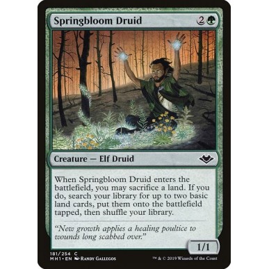 Springbloom Druid
