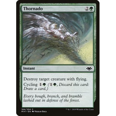 Tornado di Spine