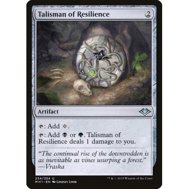 Talisman of Resilience