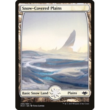 Snow-Covered Plains