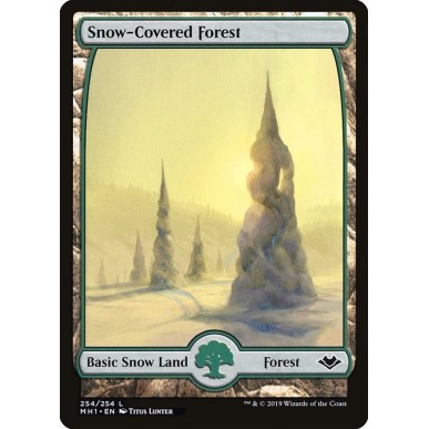Foresta Innevata