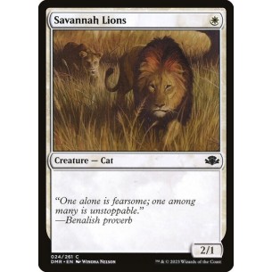 Leoni della Savana