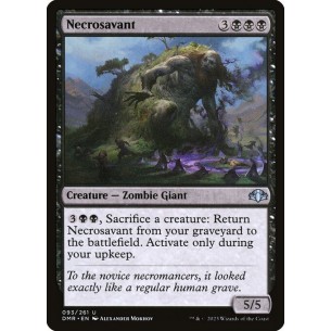 Esperto di Necromanzia