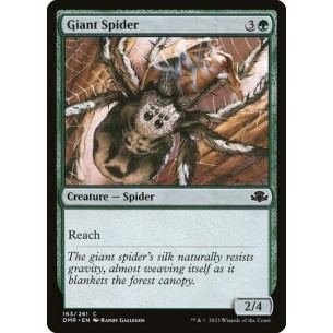 Ragno Gigante