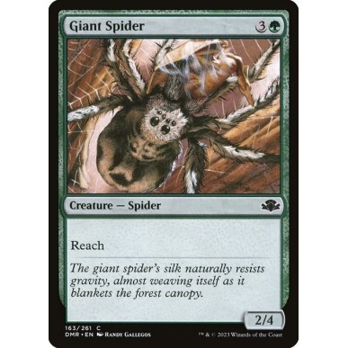 Ragno Gigante