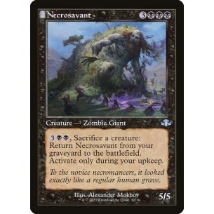 Esperto di Necromanzia