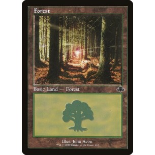 Foresta