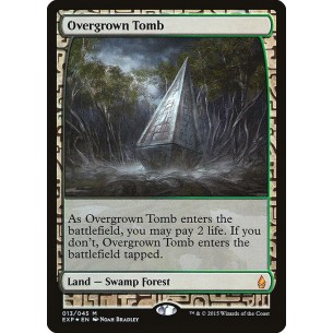 Overgrown Tomb