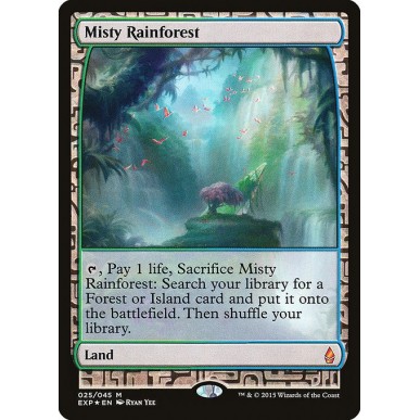 Misty Rainforest