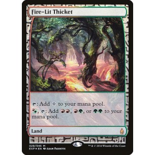 Fire-Lit Thicket
