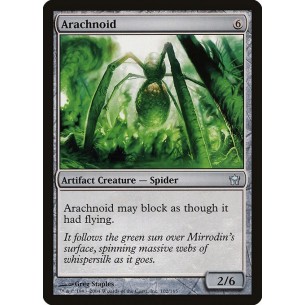 Aracnoide