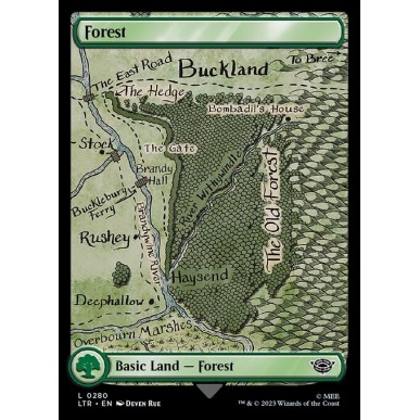 Foresta