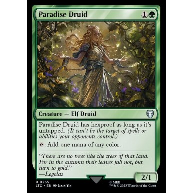 Druida del Paradiso