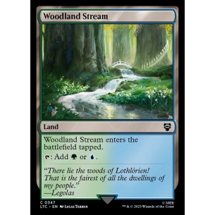 Ruscello nel Bosco