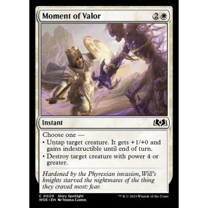 Moment of Valor