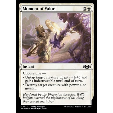 Moment of Valor