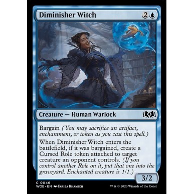 Diminisher Witch