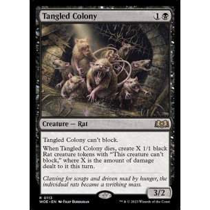 Tangled Colony