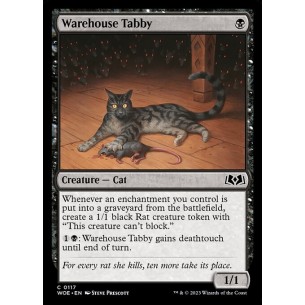 Warehouse Tabby