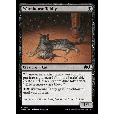 Warehouse Tabby