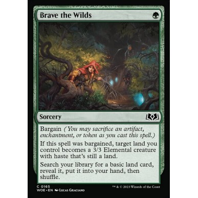 Brave the Wilds