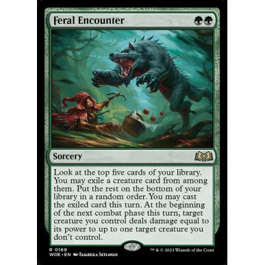 Feral Encounter
