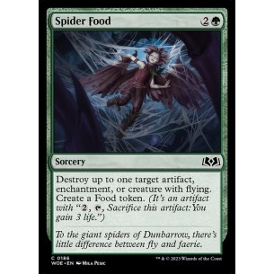 Spider Food