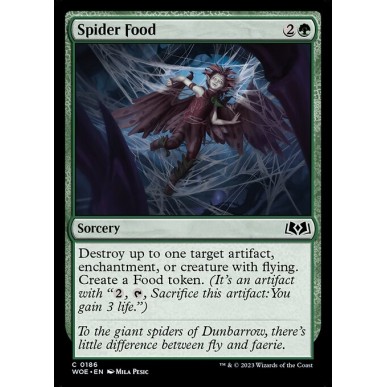 Spider Food