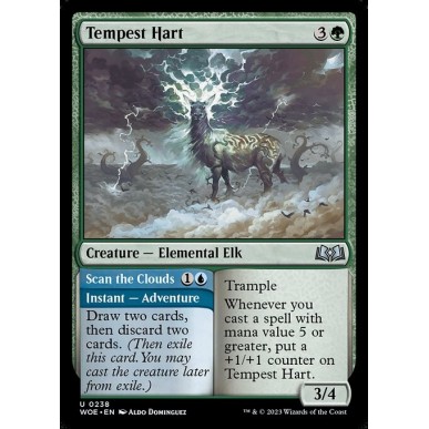 Tempest Hart // Scan the Clouds