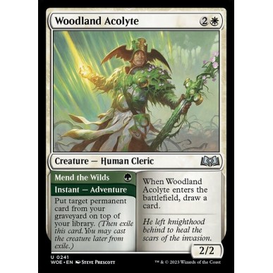 Woodland Acolyte // Mend the Wilds