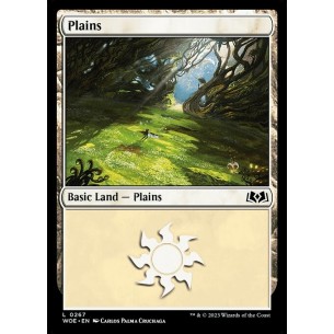 Plains
