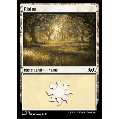 Plains