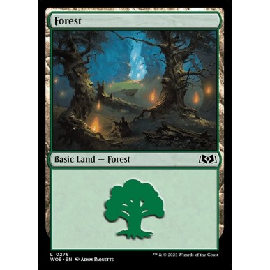 Forest